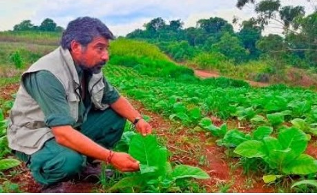 Oscar Alfredo Di Vincensi en una actividad vinculada a la producción y soberanía alimentaria